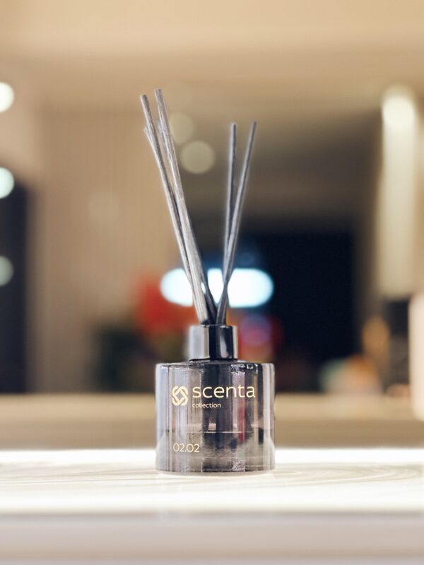 diffuseur 02.02 - 100ml
