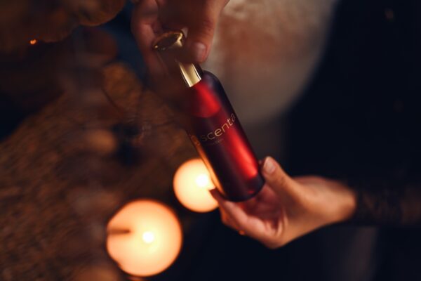 parfum d'ambiance 17.12.25 - 100ml