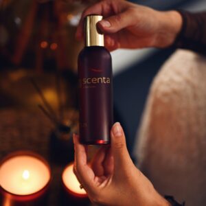 parfum d'ambiance 17.12.25 - 100ml