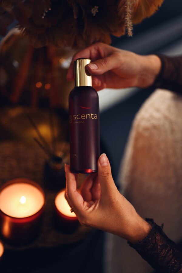 parfum d'ambiance 17.12.25 - 100ml